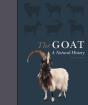 The Goat - Preview