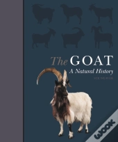 The Goat