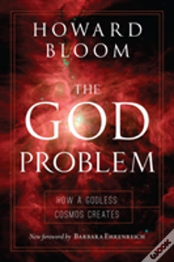 Capa do artigo The God Problem