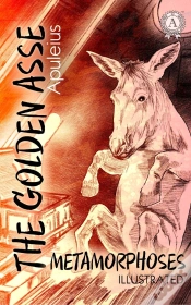 Capa do artigo The Golden Asse