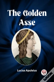 Capa do artigo The Golden Asse (Edition2023)