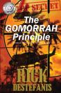 The Gomorrah Principle - Preview