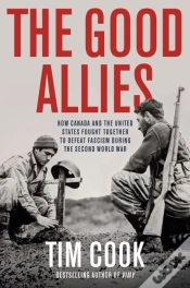 Capa do artigo The Good Allies