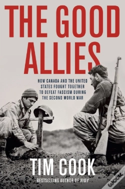 Capa do artigo The Good Allies