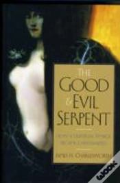 Capa do artigo The Good And Evil Serpent
