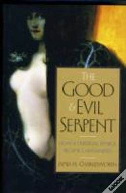 Capa do artigo The Good And Evil Serpent