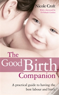 Capa do artigo The Good Birth Companion