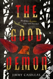 Capa do artigo The Good Demon