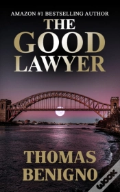 Capa do artigo The Good Lawyer