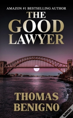 Capa do artigo The Good Lawyer