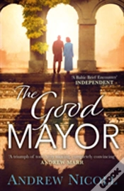 Capa do artigo The Good Mayor