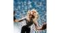 The Good Witch - CD - Preview