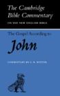 The Gospel According To John - Preview