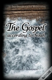 Capa do artigo The Gospel According To Noah
