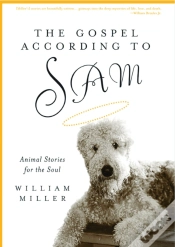 Capa do artigo The Gospel According To Sam