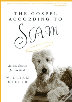 Capa do artigo The Gospel According To Sam