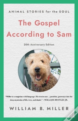 Capa do artigo The Gospel According To Sam
