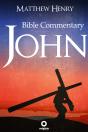 The Gospel Of John - Complete Bible Commentary Verse By Verse - Preview