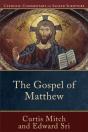 The Gospel Of Matthew - Preview