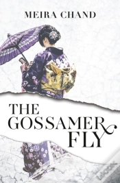 Capa do artigo The Gossamer Fly