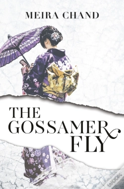 Capa do artigo The Gossamer Fly