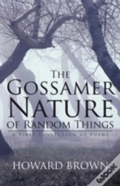 Capa do artigo The Gossamer Nature Of Random Things
