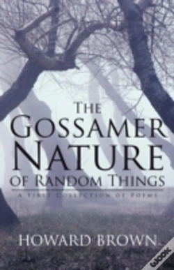 Capa do artigo The Gossamer Nature Of Random Things