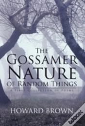 Capa do artigo The Gossamer Nature Of Random Things