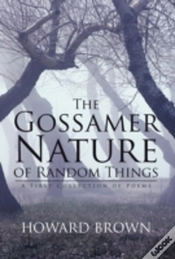 Capa do artigo The Gossamer Nature Of Random Things