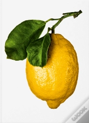 Capa do artigo The Gourmand