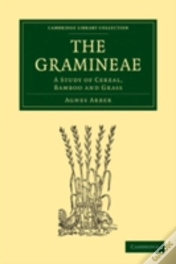 Capa do artigo The Gramineae
