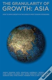 Capa do artigo The Granularity Of Growth - Asia