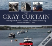 Capa do artigo The Gray Curtain