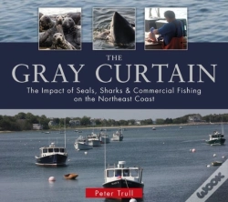 Capa do artigo The Gray Curtain