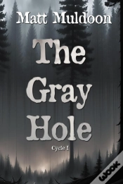 Capa do artigo The Gray Hole