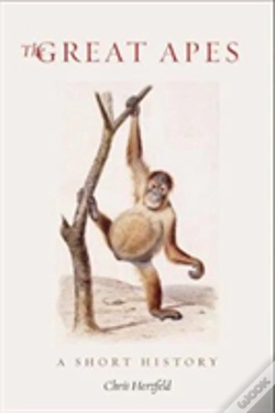 Capa do artigo The Great Apes