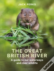 Capa do artigo The Great British River