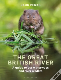Capa do artigo The Great British River