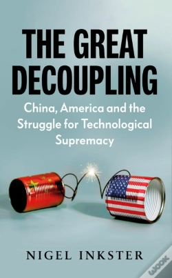 Capa do artigo The Great Decoupling