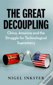 Capa do artigo The Great Decoupling
