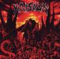 The Great Execution - CD - Preview