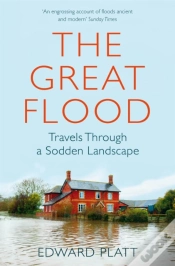 Capa do artigo The Great Flood