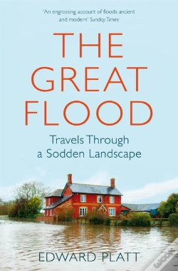 Capa do artigo The Great Flood