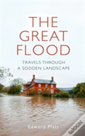 Capa do artigo The Great Flood