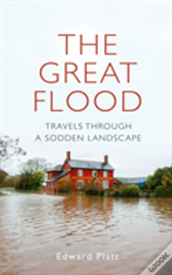 Capa do artigo The Great Flood