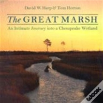 The Great Marsh