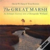 The Great Marsh