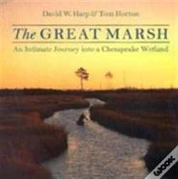 Capa do artigo The Great Marsh