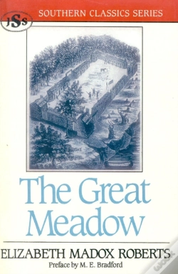 Capa do artigo The Great Meadow