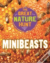 Capa do artigo The Great Nature Hunt: Minibeasts